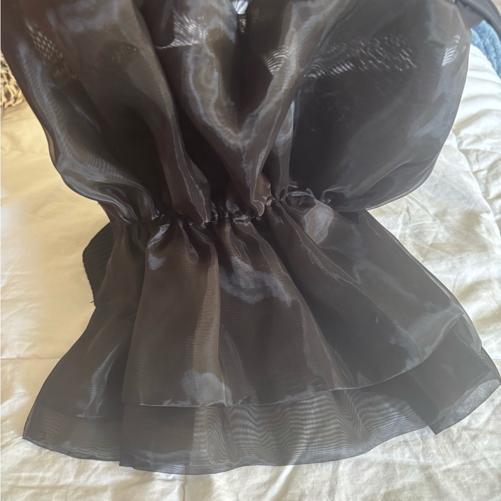 Zara Black Sheer Pleated Top